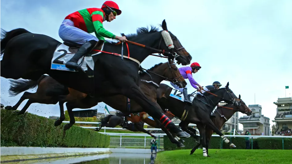 Quinté +: PRIX D’ACHERES – AUTEUIL – 06/27/2023: Runners, Predictions and Results in Video