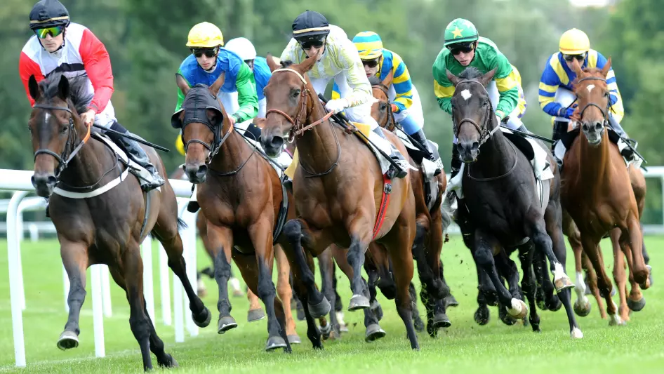 PRIX LAVANDIN – SAINT CLOUD – 06/05/2024: starters, forecasts and results in video – Race 8