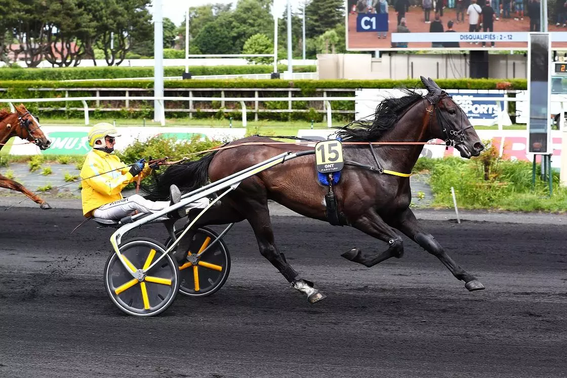 Trotteur cheval hot sale
