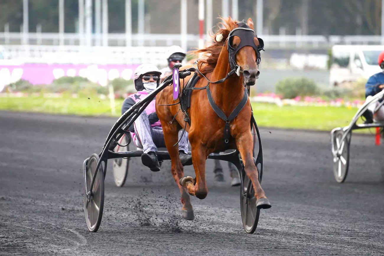 Rumjancev BOOSTER WINNER