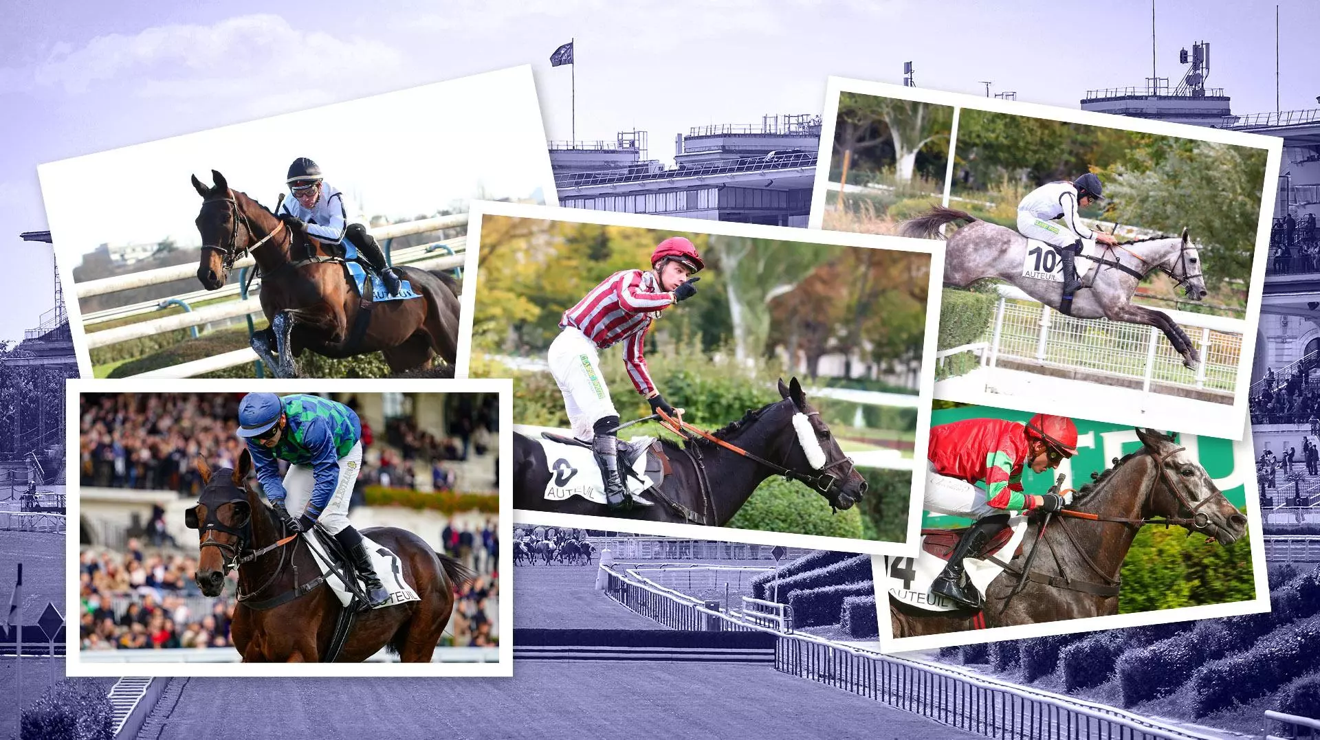 Les 5 chances de François Nicolle dans le Prix la Haye Jousselin | Equidia