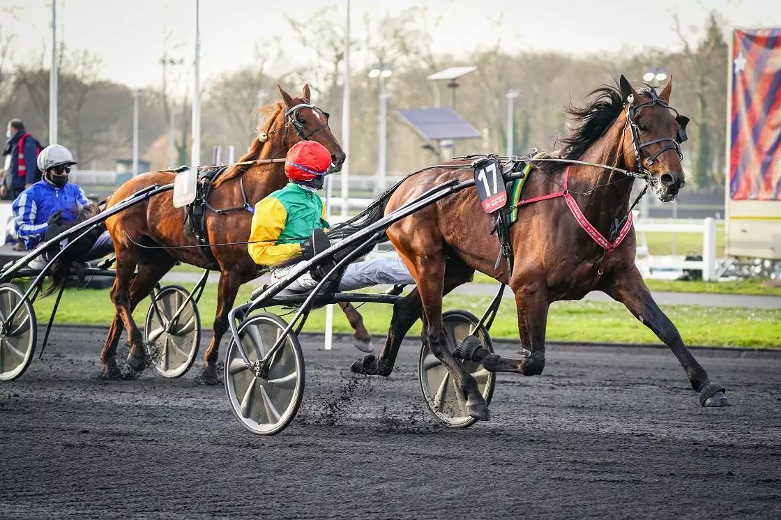 Les meilleurs trotteurs du moment best sale
