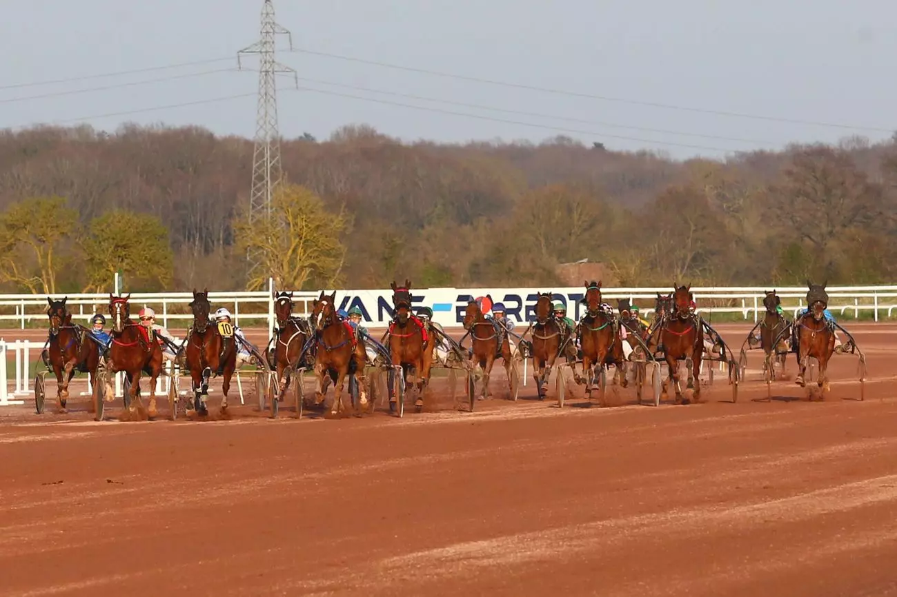 Image de l'article