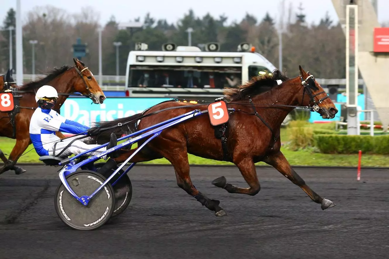 Quinté : Quinté  du mardi 18 janvier à Vincennes : Usain Töll, plus ...