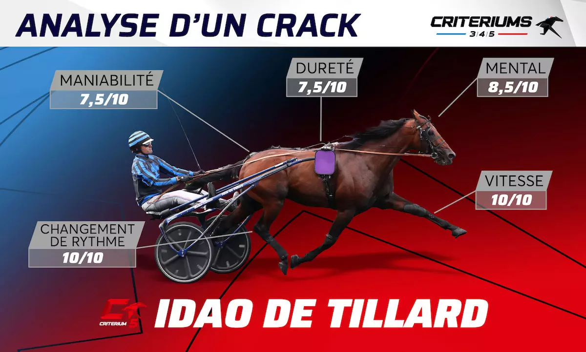 Au coeur hot sale des trotteurs