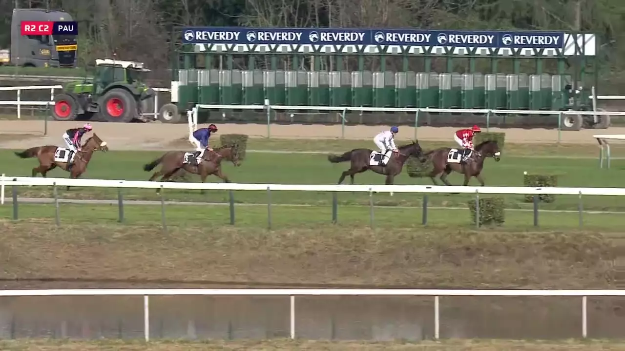PRIX JOHN HENRY WRIGHT 1TROPHEE NATIONAL DU CROSS H. DU LIONPMU PAU