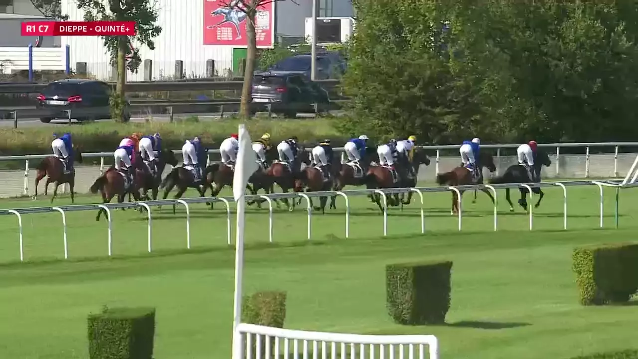 Quinté+ PRIX TOYOTA TOYS MOTORS DIEPPE 29/07/2024 partants