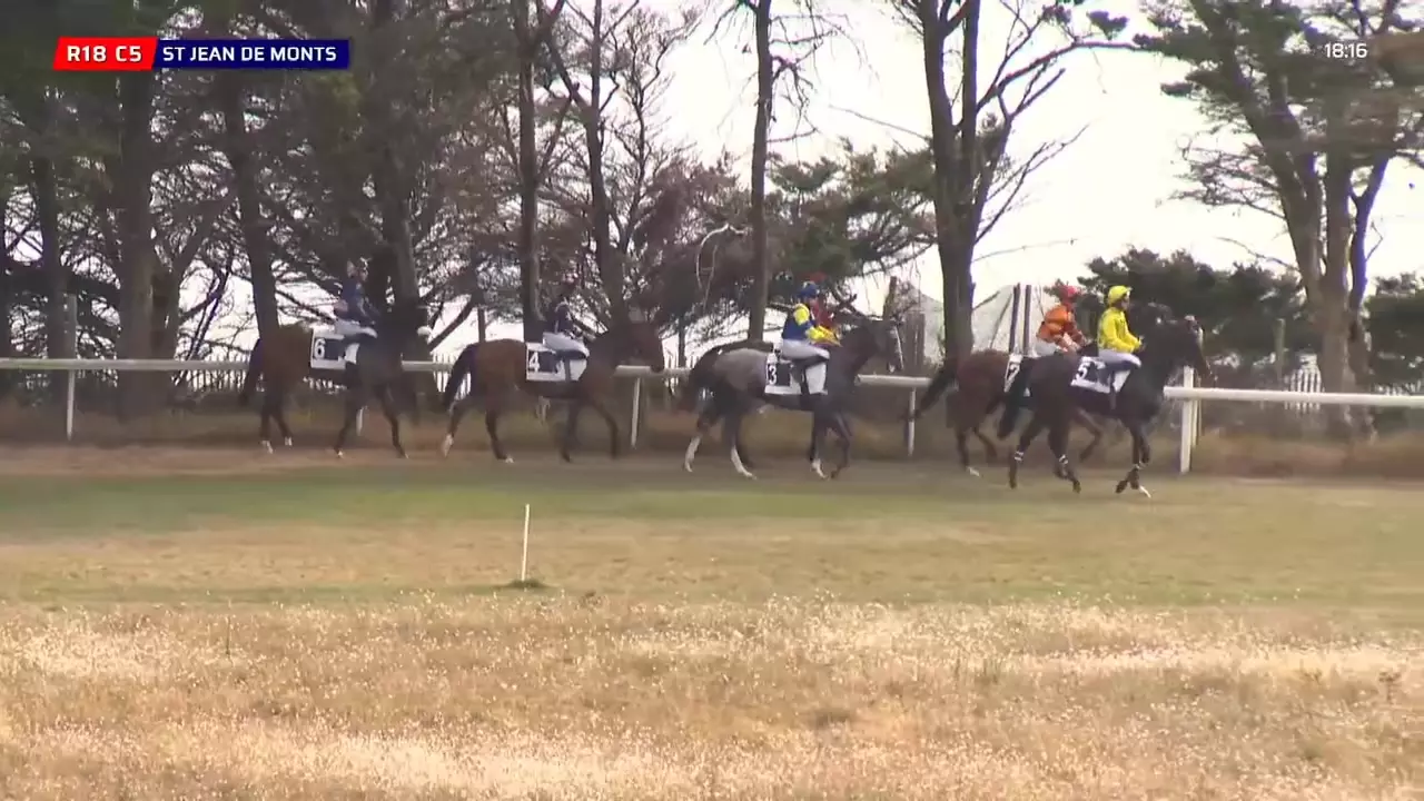 PRIX DE L'ILE D'YEU - ST JEAN DE MONTS - 17/08/2025 : partants ...