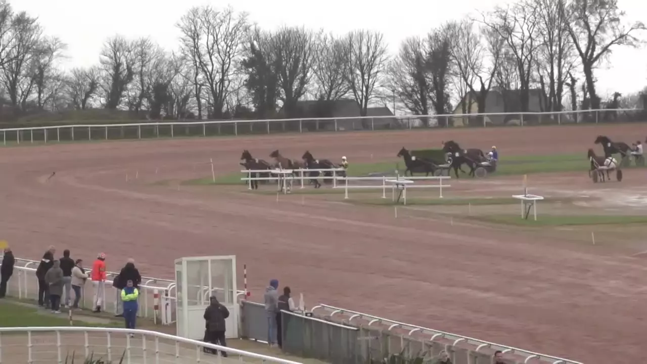 PRIX DE REVILLE - CHERBOURG - 01/02/2026 : partants, pronostics et ...