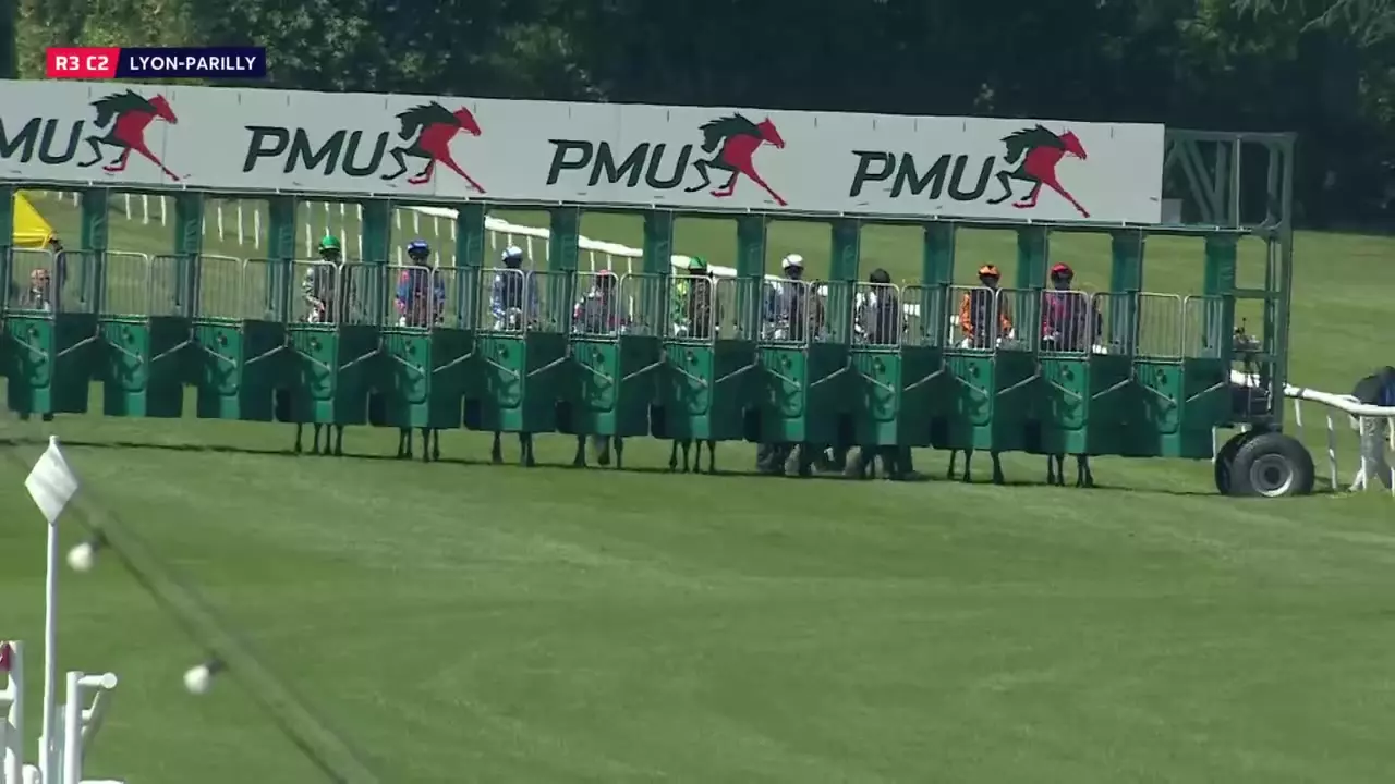 PRIX DE LA CITE HIPPIQUE - LYON-PARILLY - 29/04/2026 : partants ...