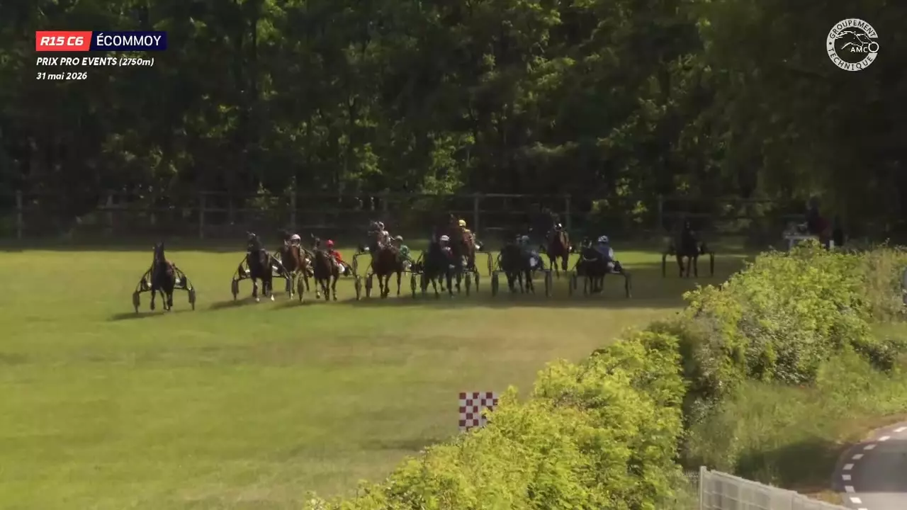 PRIX PRO EVENTS - ECOMMOY - 31/05/2026 : partants, pronostics et ...