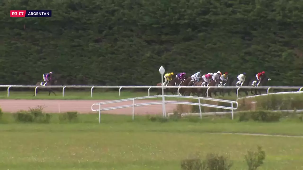 PRIX BAGO - ARGENTAN - 10/06/2026 : partants, pronostics et résultats ...