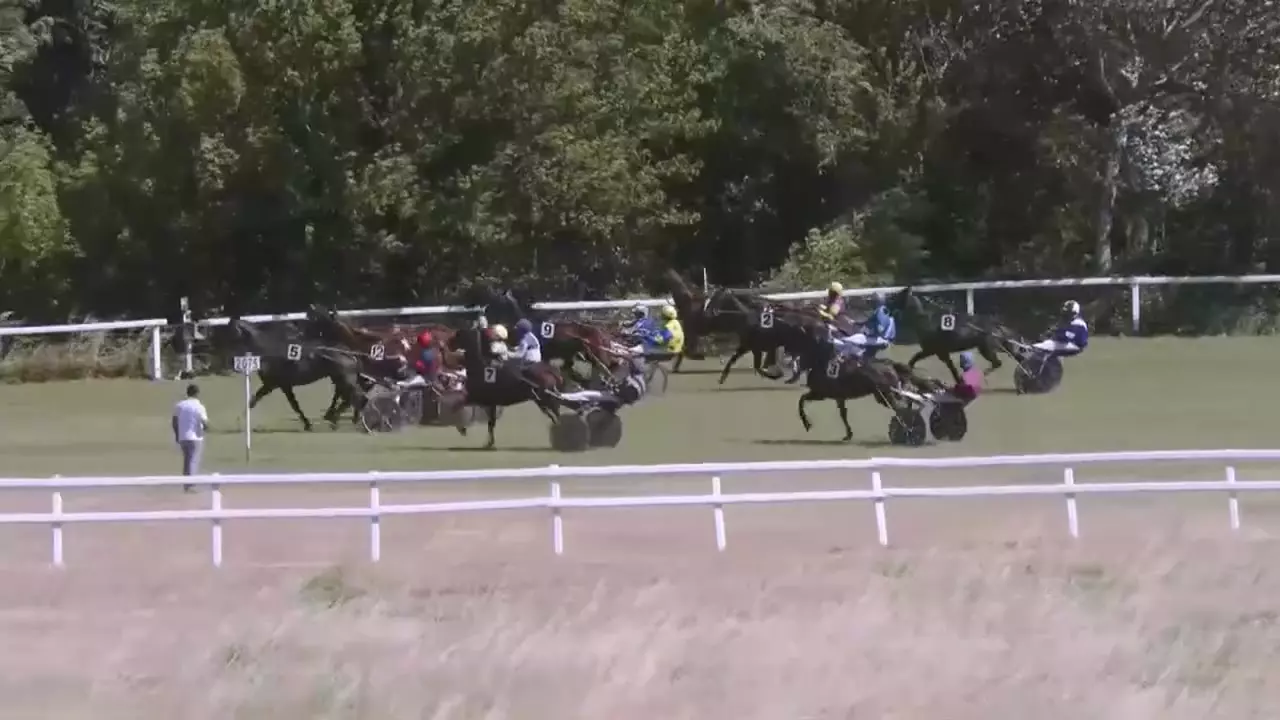 PRIX JOURNAL GENY COURSES (Gr B) - AVIGNON - 04/07/2026 : partants ...