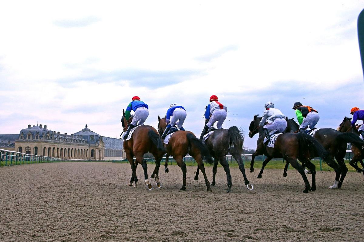 Pronostic Et Statistique Des Courses De Chevaux Quinté+: Le Quinté+ du mardi 7 mars vu par les statistiques | Equidia