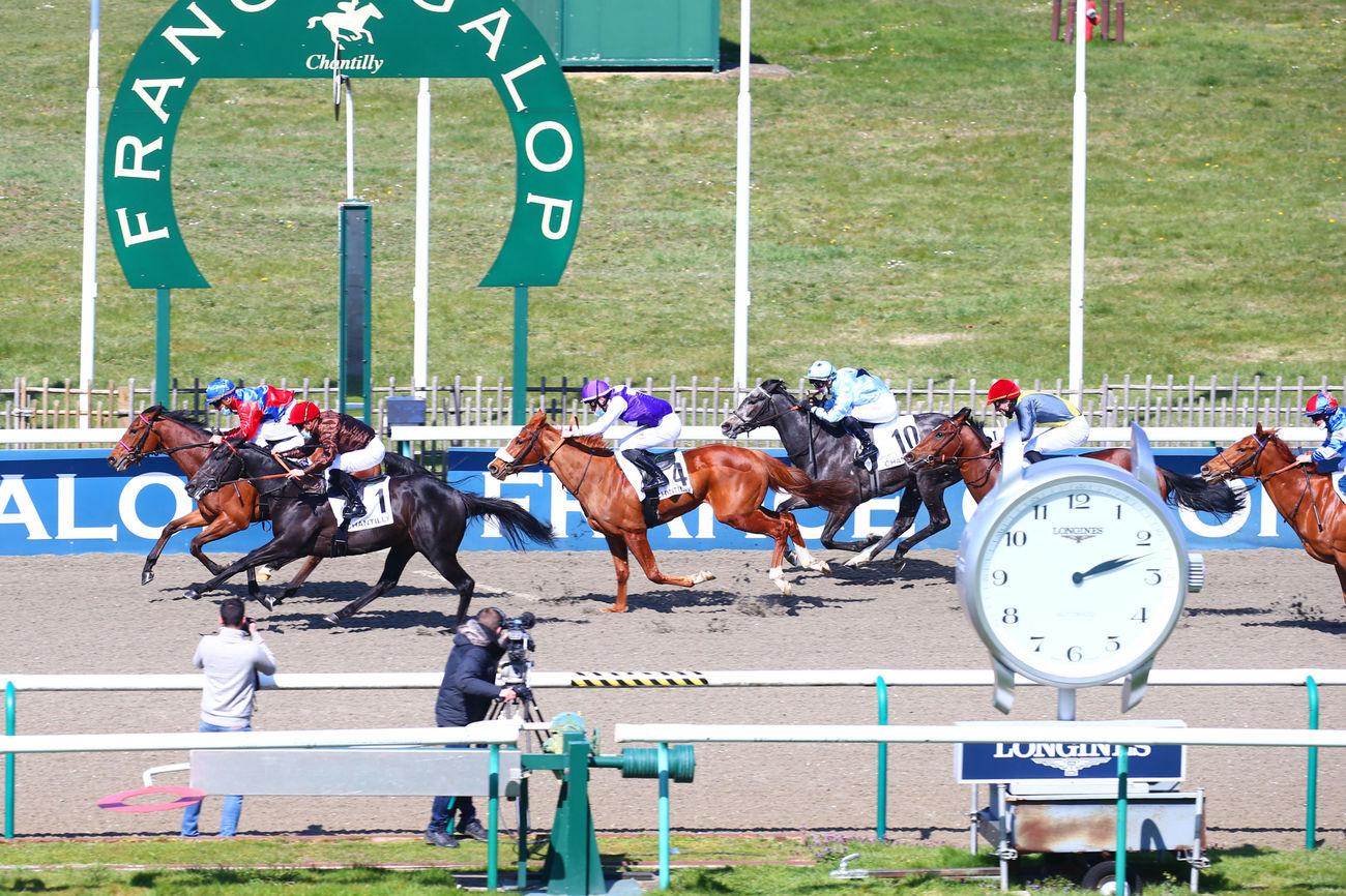 Pronostic Et Statistique Des Courses De Chevaux Quinté+: Le Quinté+ du mercredi 15 mars vu par les statistiques | Equidia