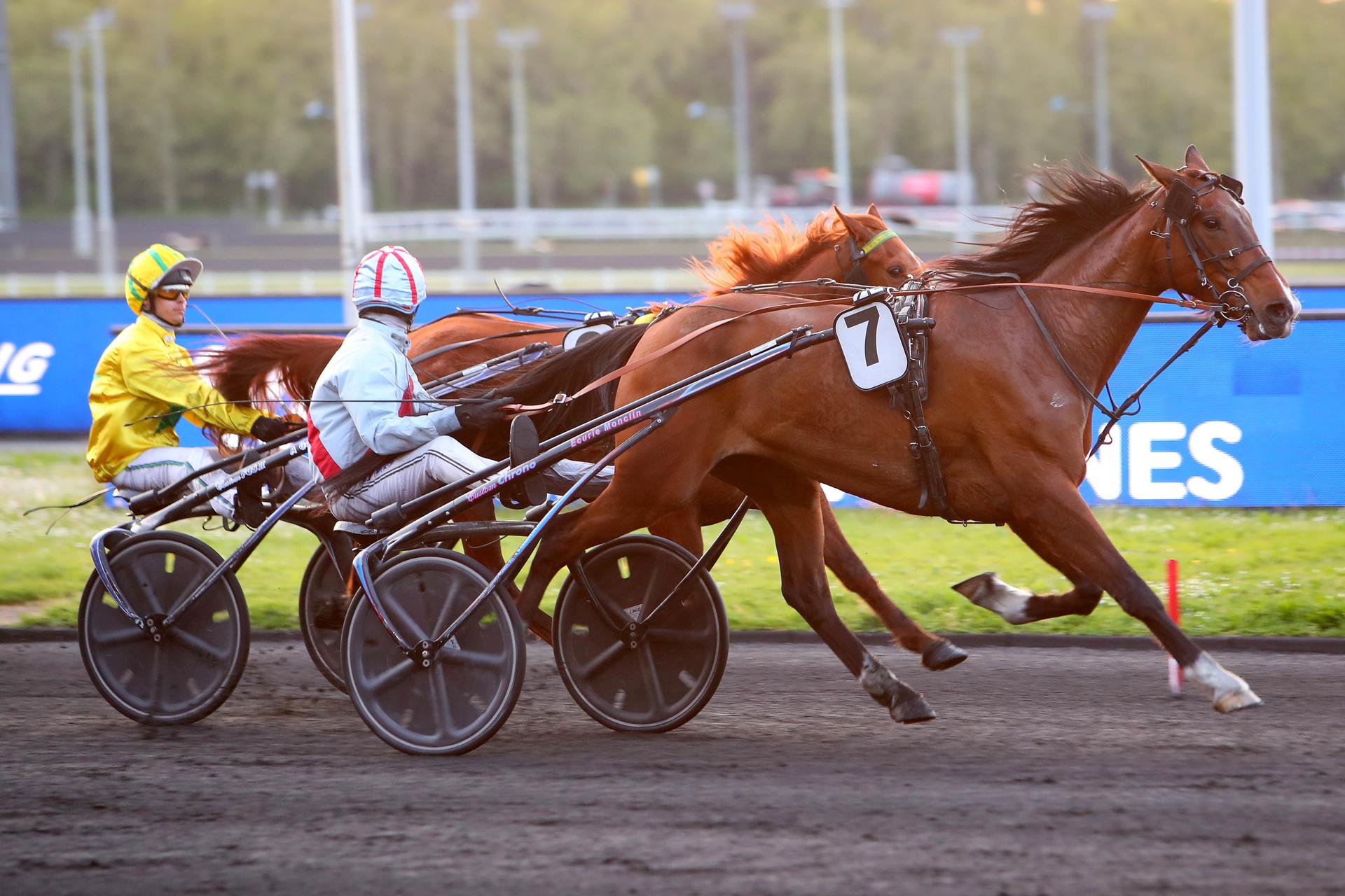 Pronostic Et Statistique Des Courses De Chevaux Quinté+: Le Quinté+ du mardi 28 février vu par les statistiques | Equidia