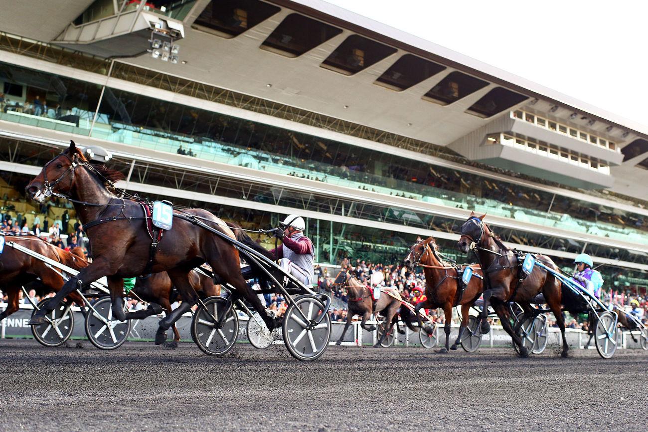 Pronostic Et Statistique Des Courses De Chevaux Le Quinté+ du dimanche 25 décembre vu par les statistiques | Equidia