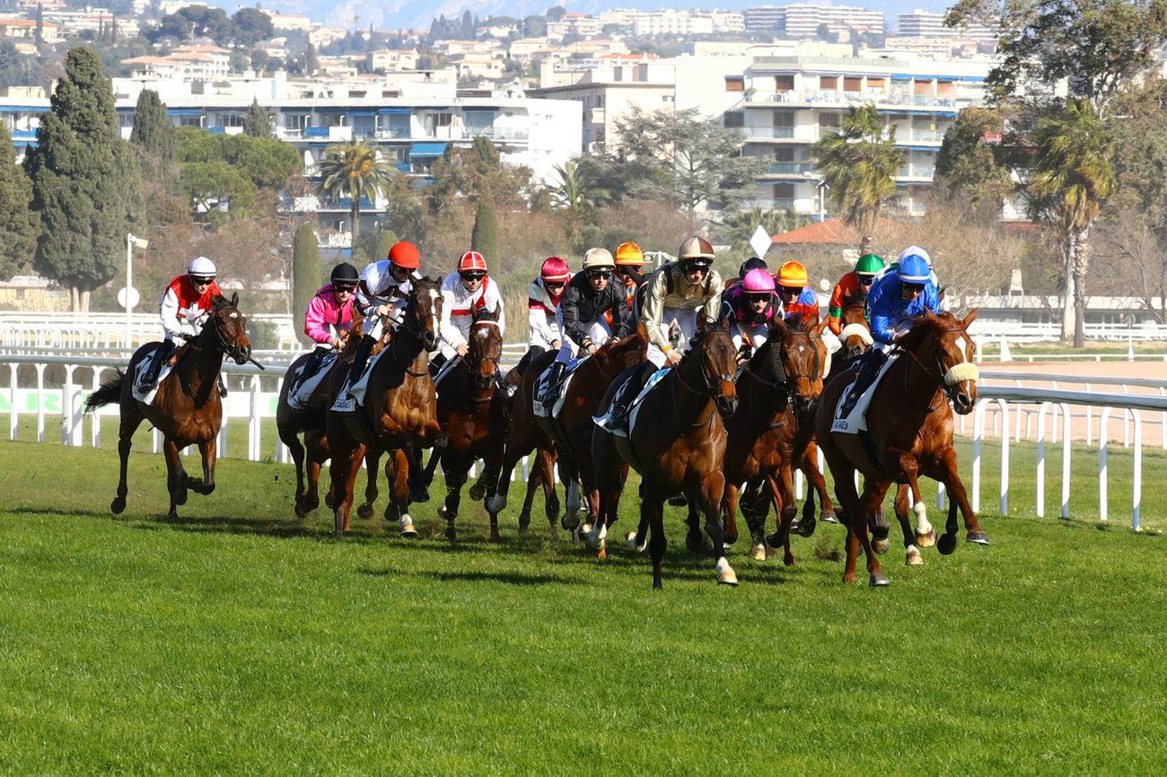 Pronostic Et Statistique Des Courses De Chevaux Quinté+: Le Quinté+ du mercredi 22 février vu par les statistiques | Equidia
