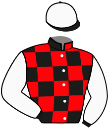 Casaque n°1