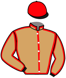 Casaque n°6