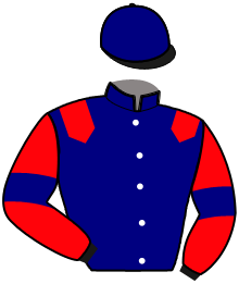 Casaque n°3