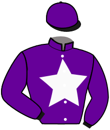 Casaque n°2