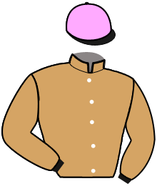 Casaque n°7