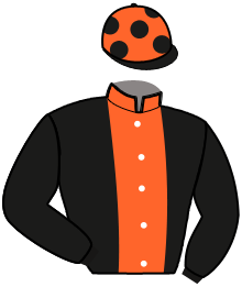 Casaque n°7