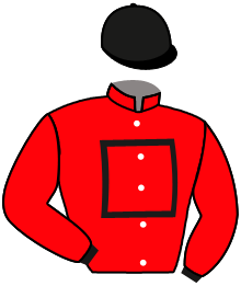 Casaque n°4