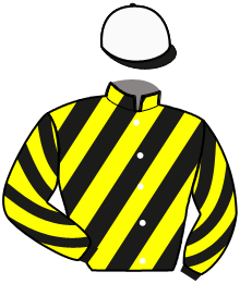 Casaque n°3