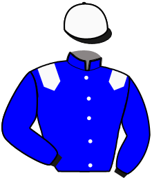 Casaque n°6