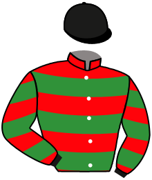 Casaque n°6