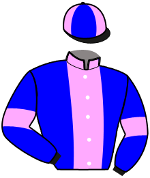 Casaque n°2