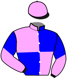Casaque n°8