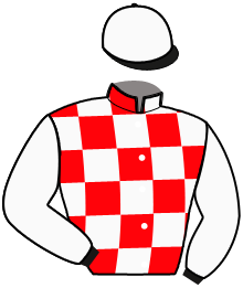 Casaque n°5