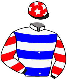 Casaque n°3