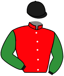 Casaque n°10