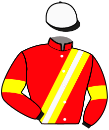 Casaque n°8