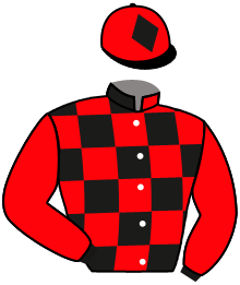 Casaque n°3