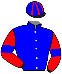 Casaque n°7