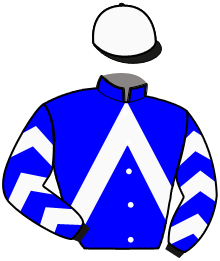 Casaque n°2
