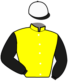 Casaque n°8