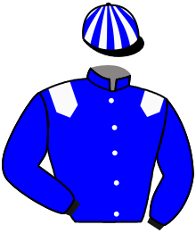 Casaque n°2