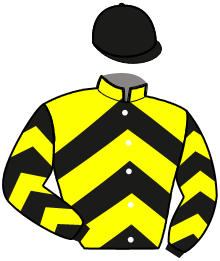 Casaque n°12