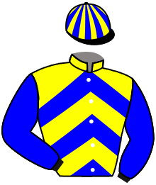 Casaque n°16