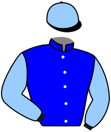 Casaque n°2