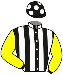 Casaque n°2