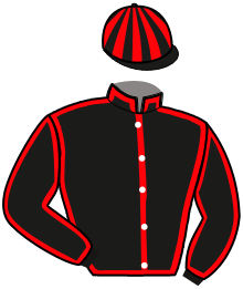 Casaque n°15