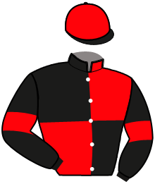 Casaque n°16