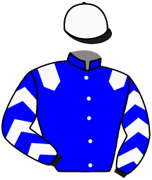 Casaque n°13